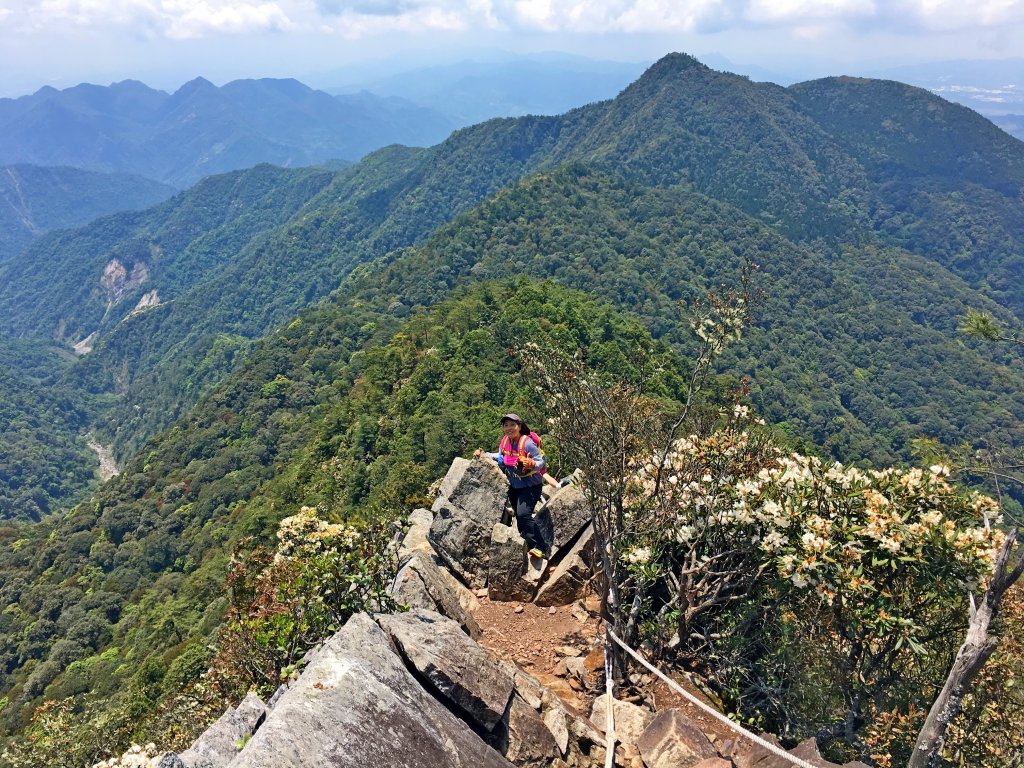 橫嶺山連走鳶嘴山2019/4/30_575832