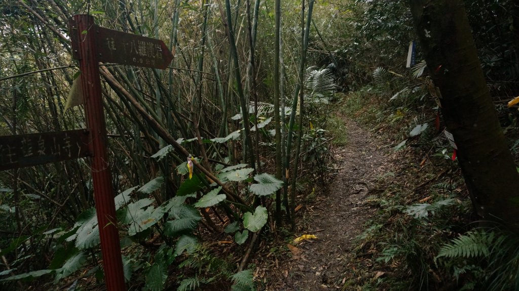 三峽(長壽山)→土城(天上山) 縱走_1233067