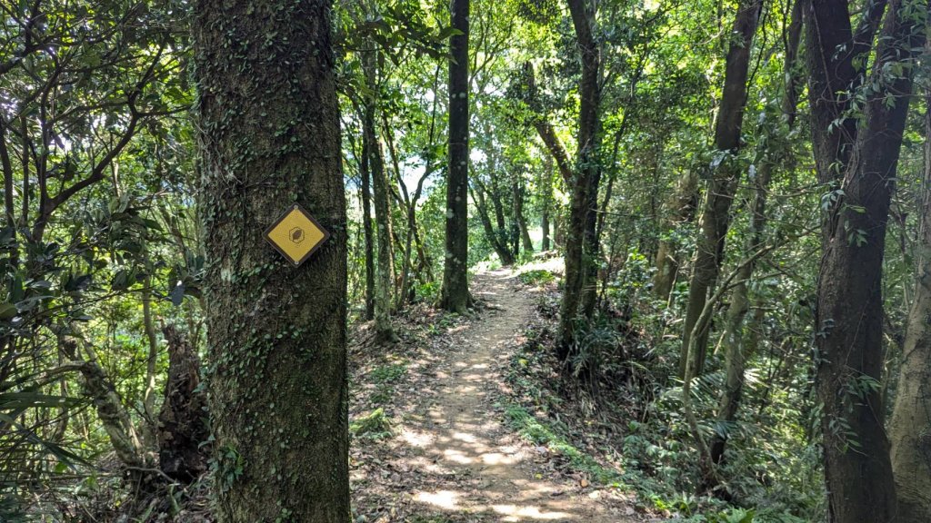 關刀山步道 (出關古道：聖關段)_2532844
