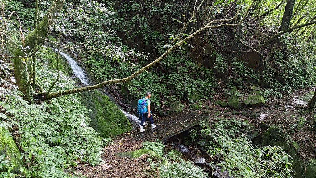 楊廷理古道_2814585