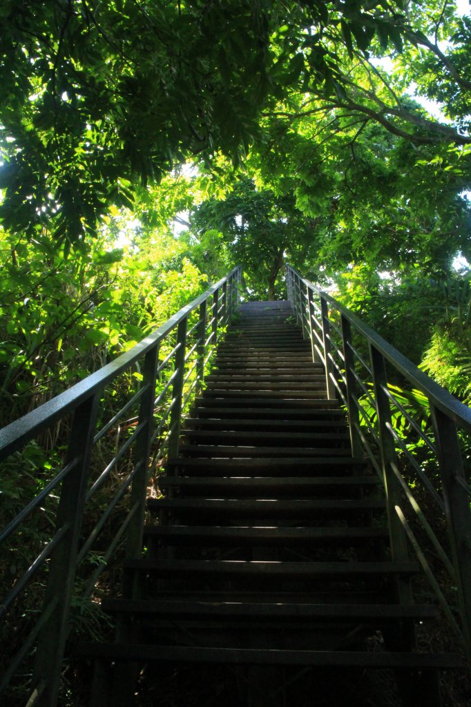 雲林．林內龍過脈森林步道2023/07/22_2237639