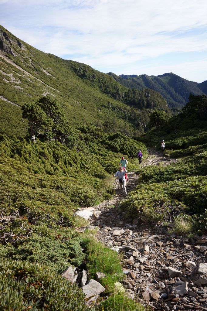 雪山主東行_399165