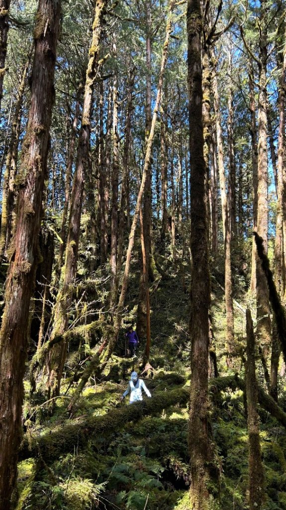 大同舊太平山神社給給池日向台_2748220