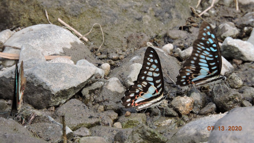 就是喜歡這個藍天白雲的FU_1032123