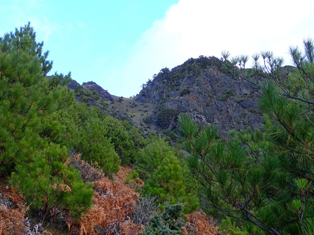 10年後重逢八通關山（八大秀未竟）_467190