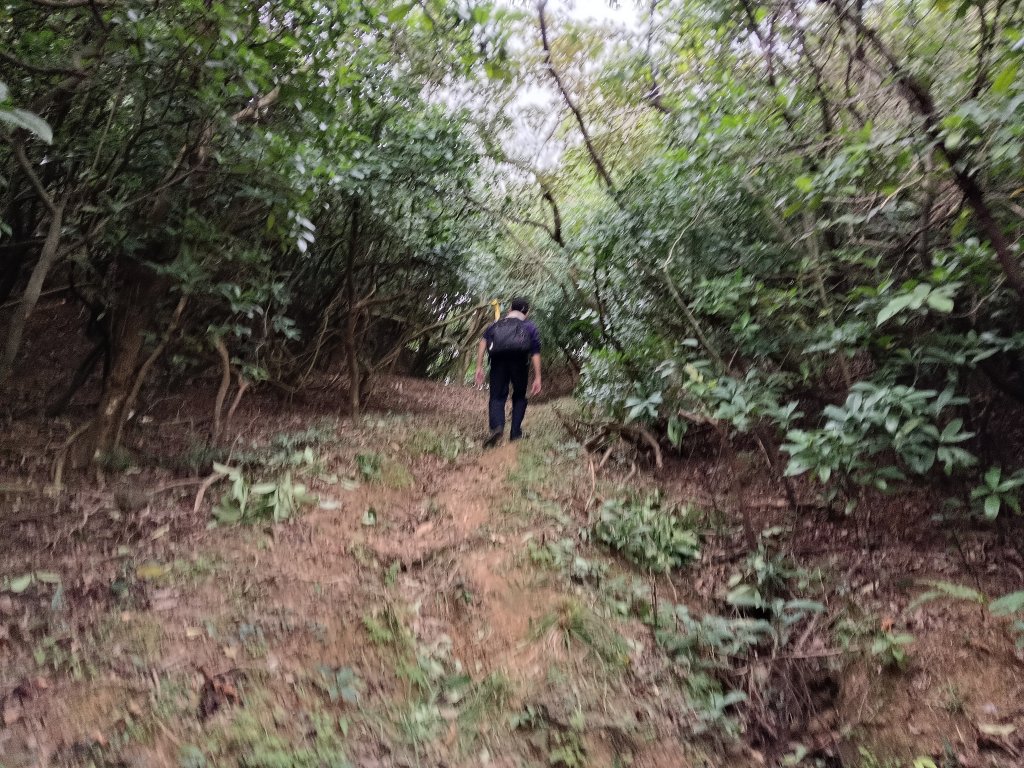 貢寮區蚊子坑古道+和美池+和美山+北勢坑古道_2990872