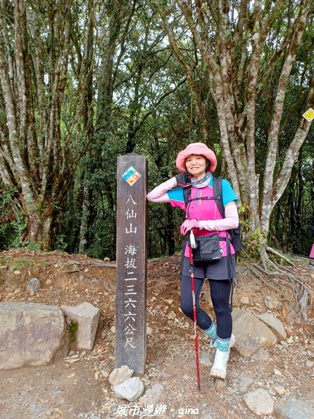 【台中和平】在虐腳的陡上中持續前進。 谷關七雄-八仙山主峰步道_2367734