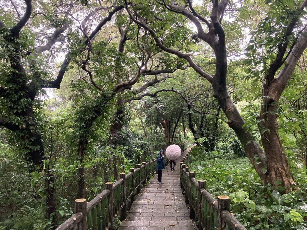 劍潭山登山步道_2517373