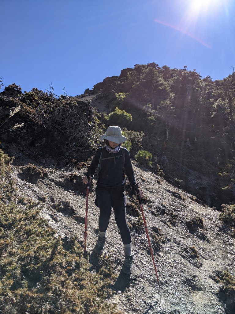 【高雄桃源】小關山林道上小關山_1275129