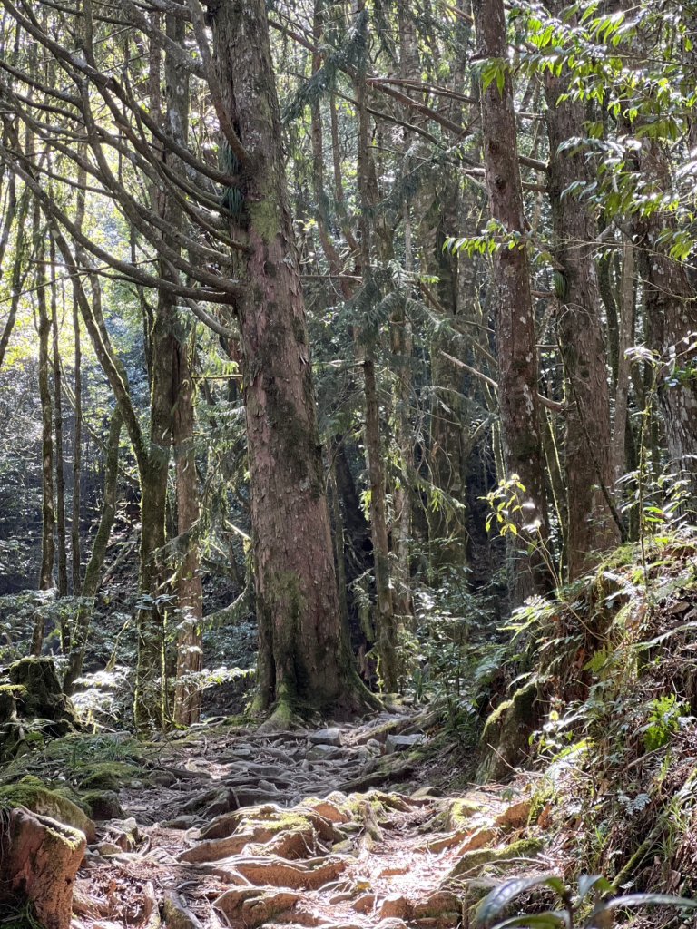 小百岳-稍來山_2752441