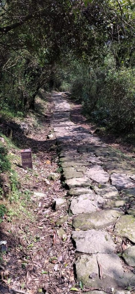 臺北大縱走第三段-冷水坑到風櫃口_1302103