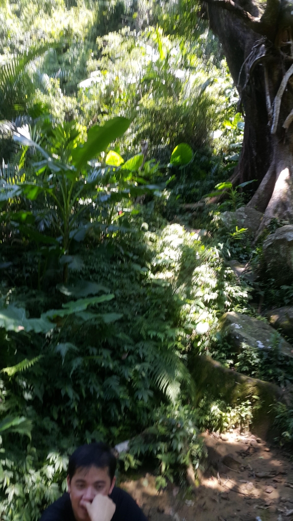 五寮尖初探險_55031