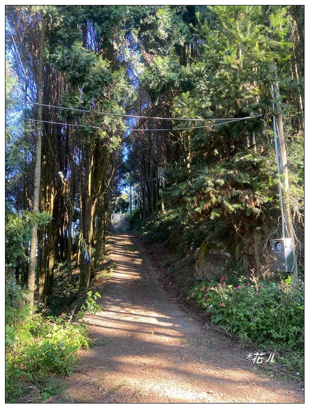 雨後頭縱走 (日月潭)_2694397