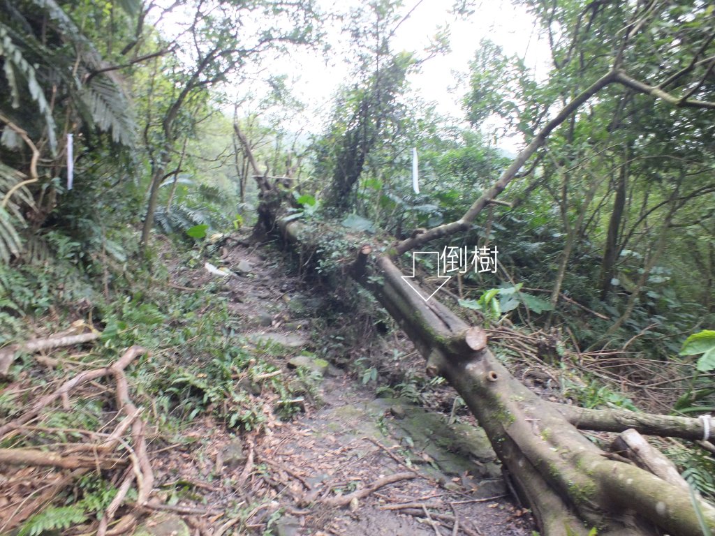 百二階古道+苕谷瀑布+逸仙山+泰和樓_2734431