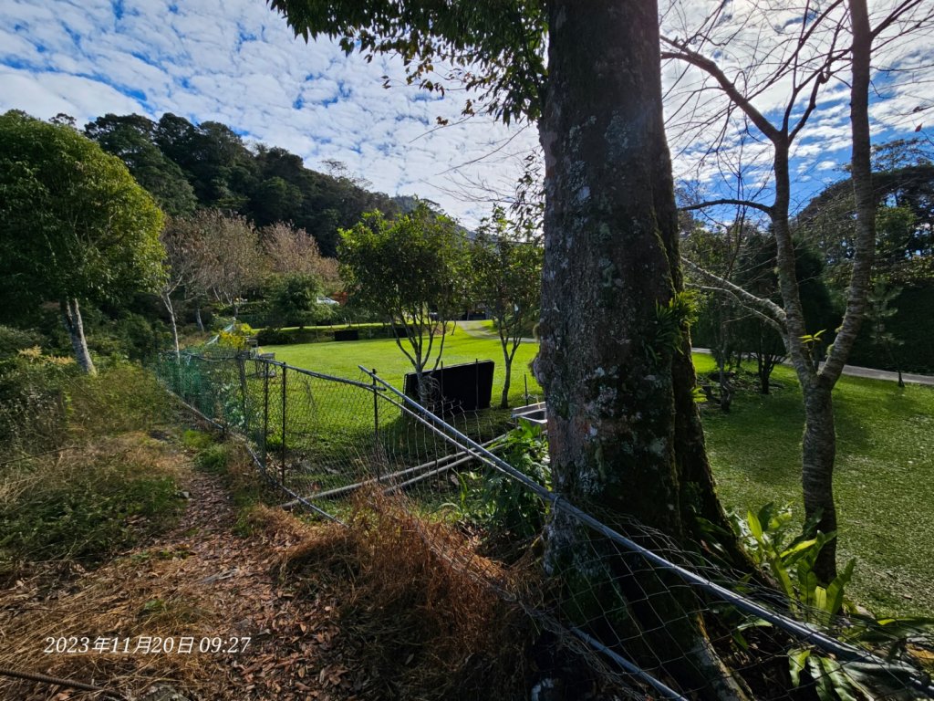 復興三尖之夫婦山_2356570