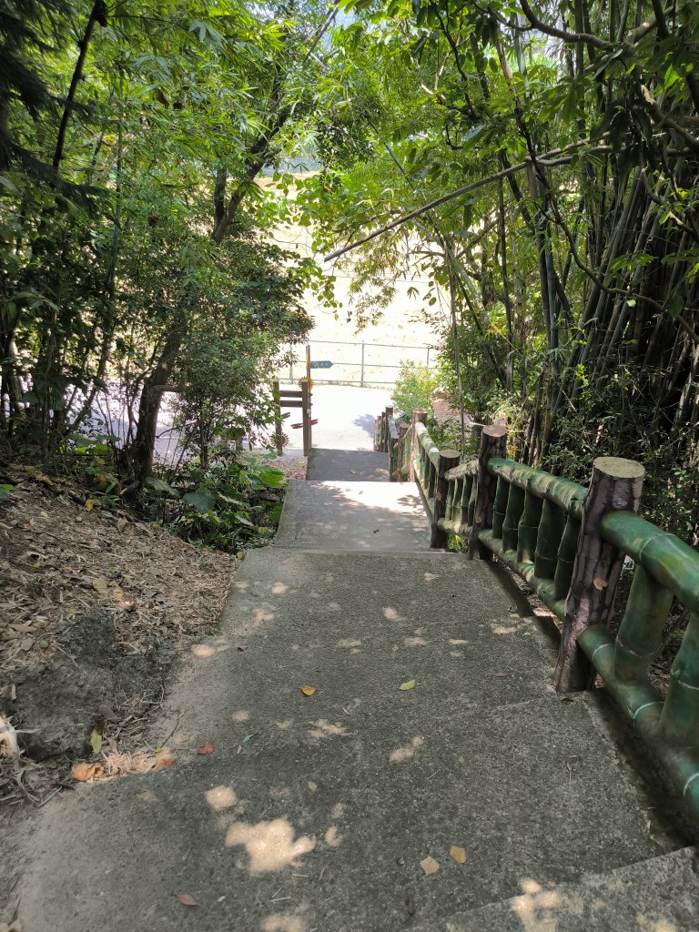20250809樹迴縱走_2855053