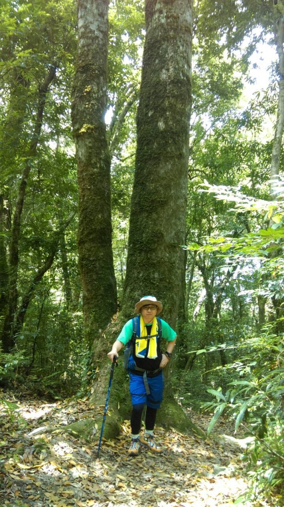 20150621新竹尖石鄉李棟山_27879