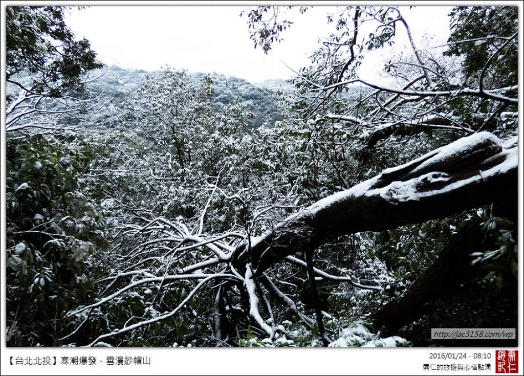 20160124寒潮爆發．雪漫紗帽山_28876