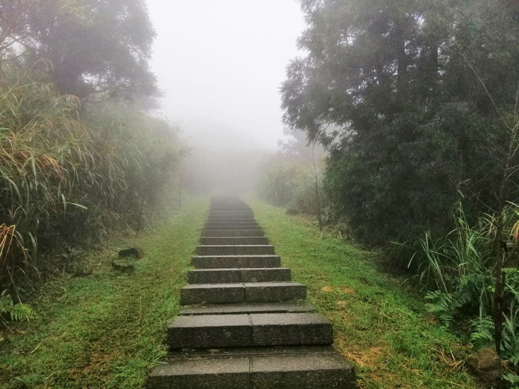 新北瑞芳~迷霧籠罩山林#10小百岳五分山封面圖