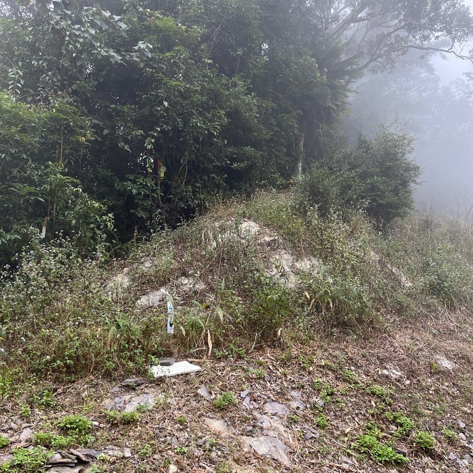 20251115_藤枝山（高雄小百岳）封面圖