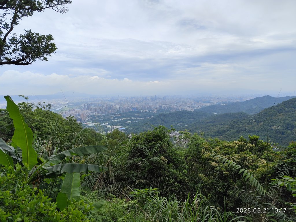 土城石壁寮溪木棧道→朝山步道→茶香步道→火焰山登山步道→火焰山封面圖