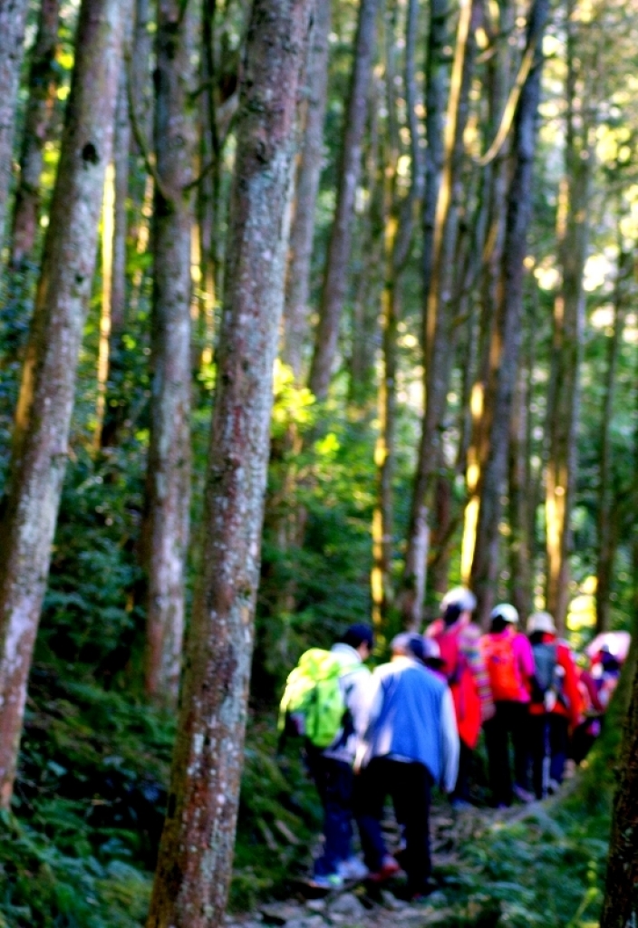 秋冬賞楓~步道行 2014 (鳶嘴稍來)_93683