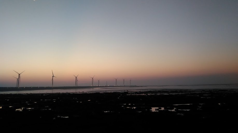 2018 2/18 高美濕地_874007