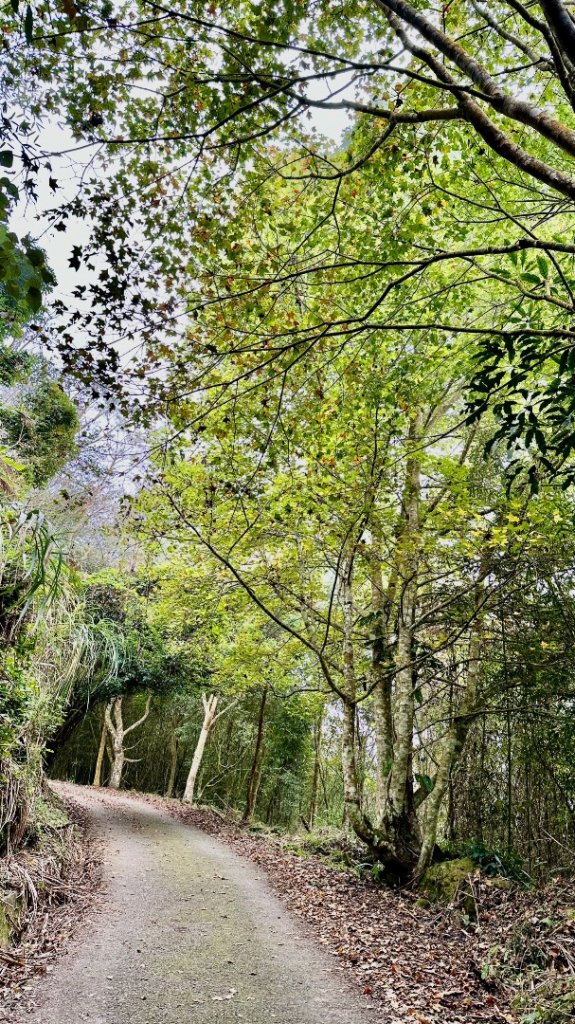 馬那邦山O走_2370103