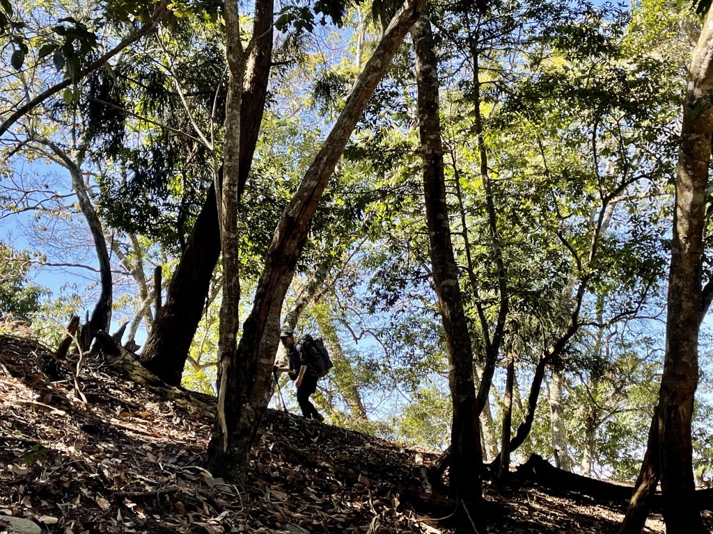 卡社山、拉夫朗山、加年端山 O型縱走 (二)_1351299