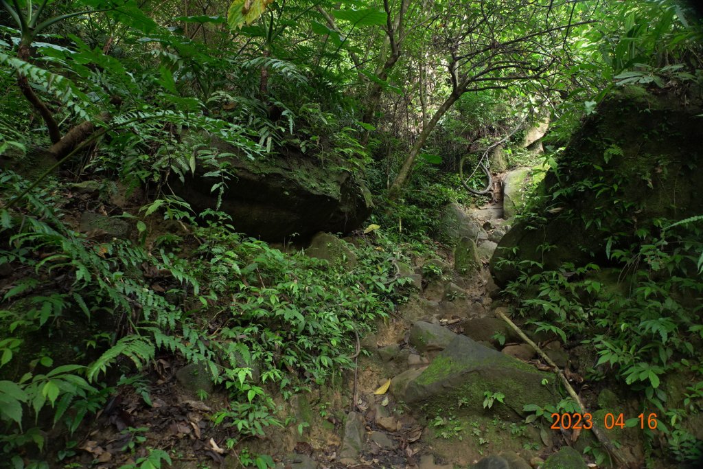 新竹 關西 石牛山_2115903