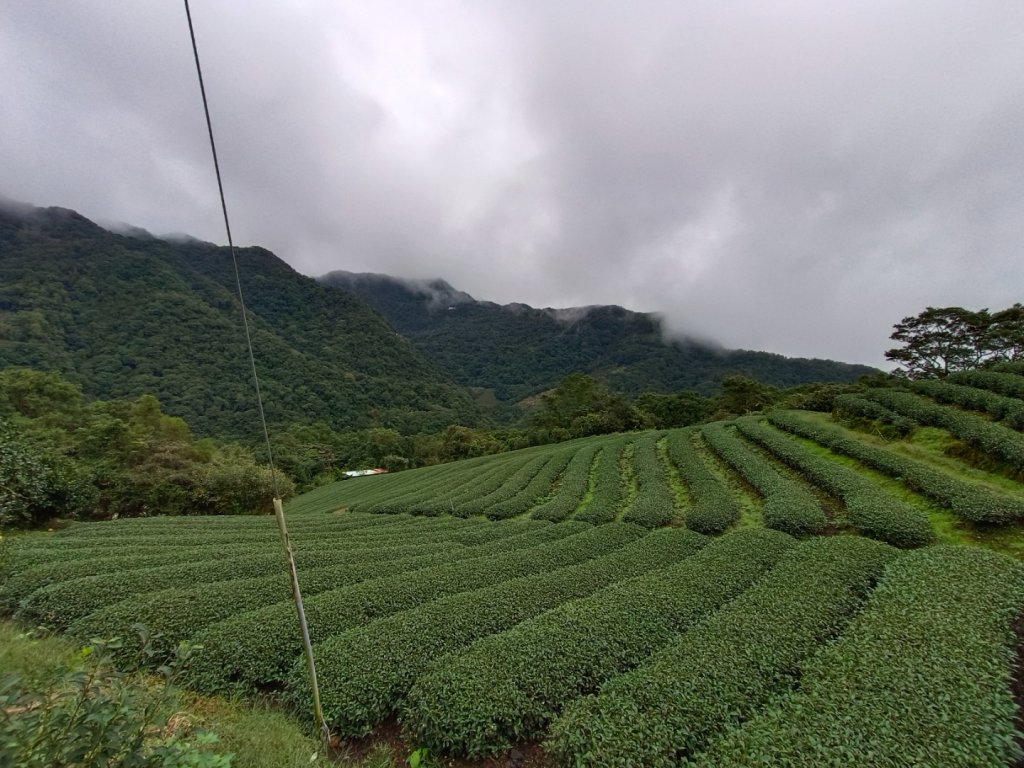 20231203 石碇鱷魚島千島湖_2368159