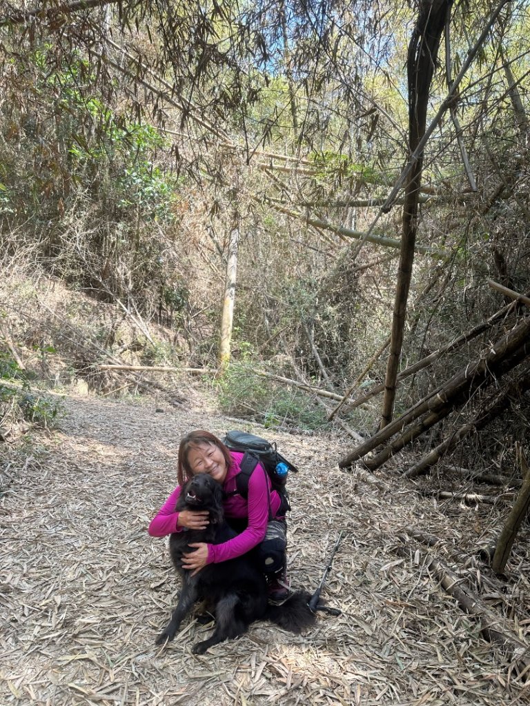 高雄美濃月光山_2734913