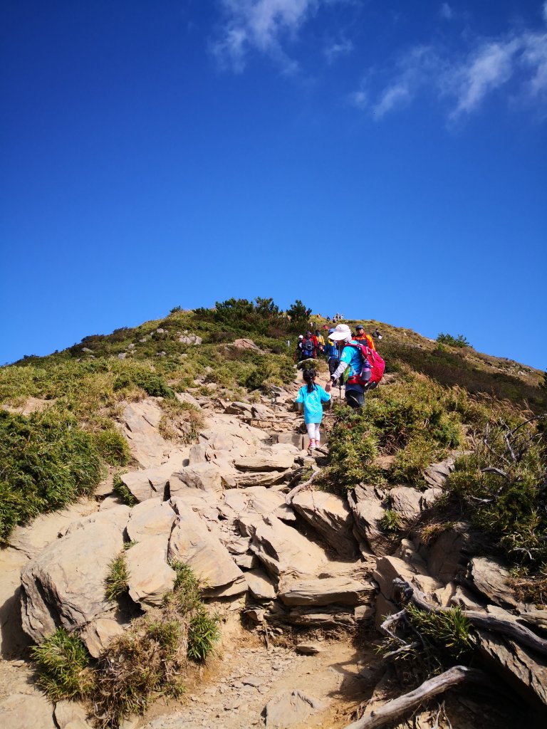 108.10.12久違的高山-合歡北峰_706159