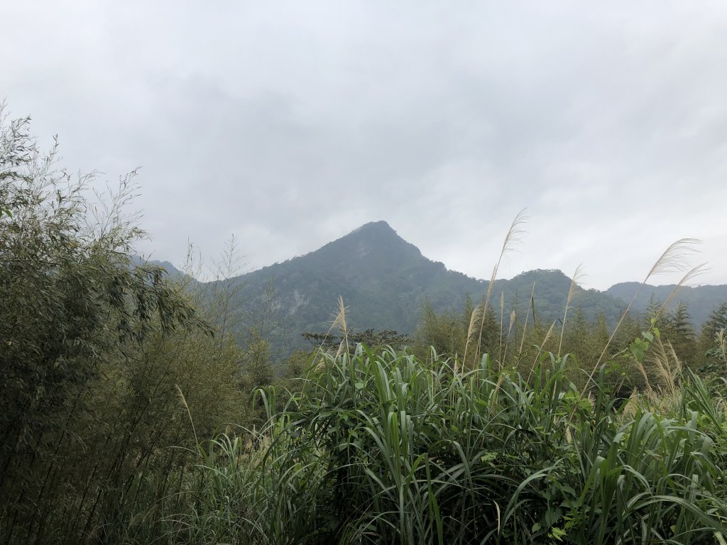 2018.04.07復興三尖-那結山_1005341