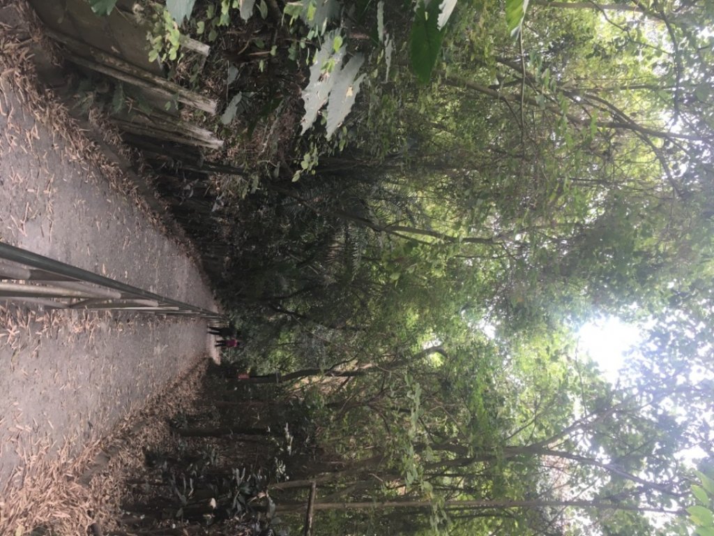 蘭潭後山步道_2041840