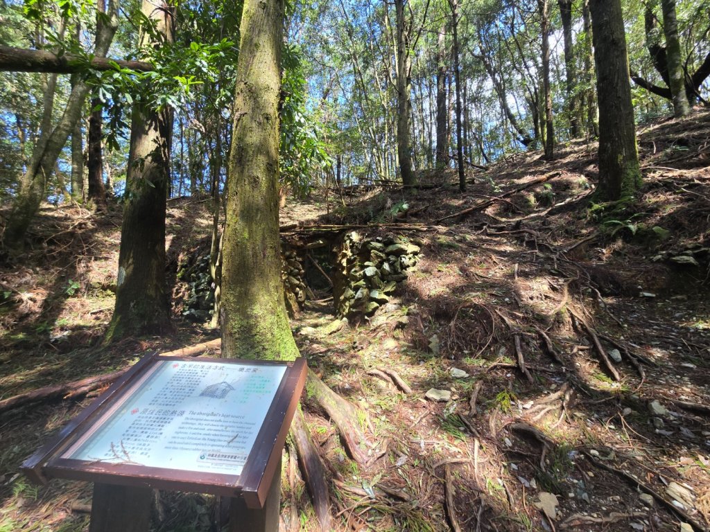 谷關七熊馬崙山_2748777