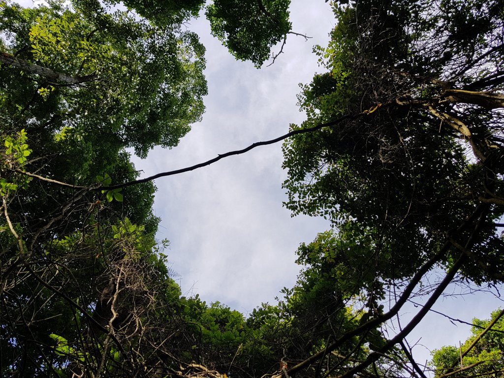 復興三尖之那結山_1423060