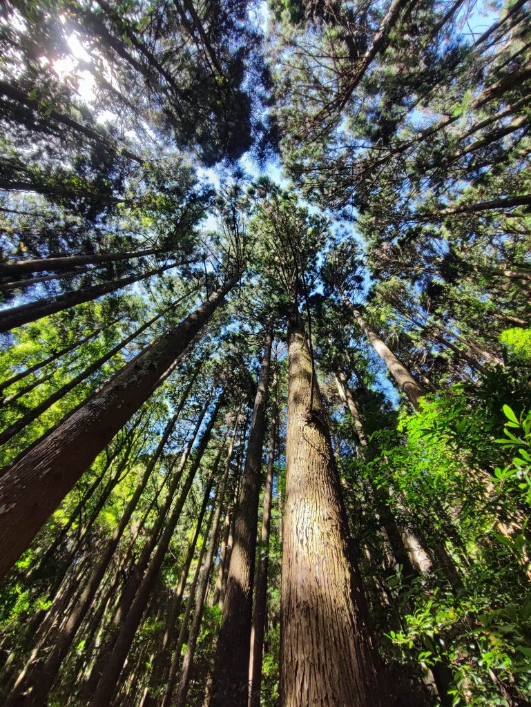 加里山-小百岳#34-苗栗縣南庄鄉_2236727