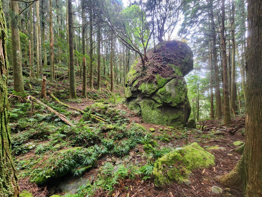 20250112貴妃山那結山外鳥嘴山蓮包山O型_2727137