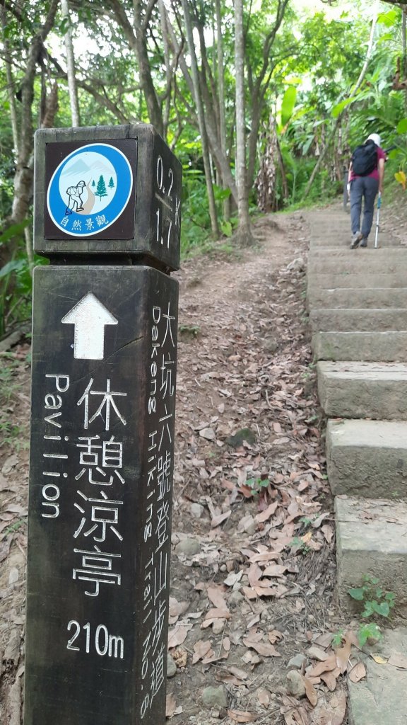 《台中》午後排汗｜大坑步道6上8下20220814_1805245