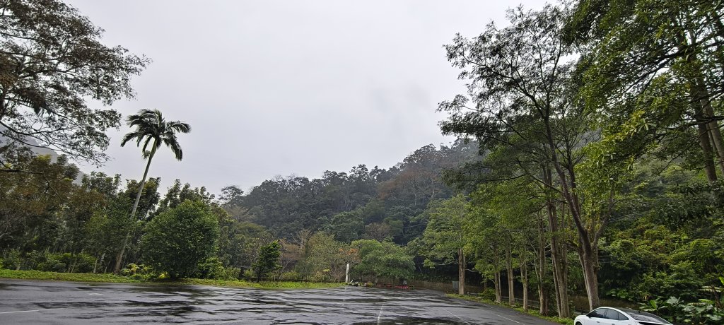 2025/01/19_四寮溪生態步道_2693730