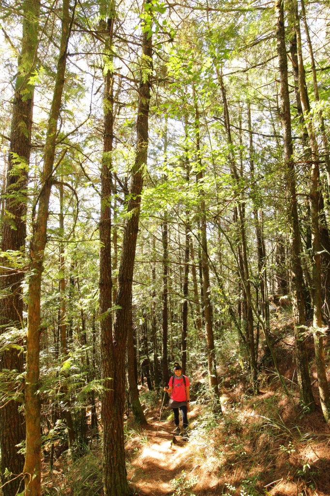 遇見武法奈尾_59029