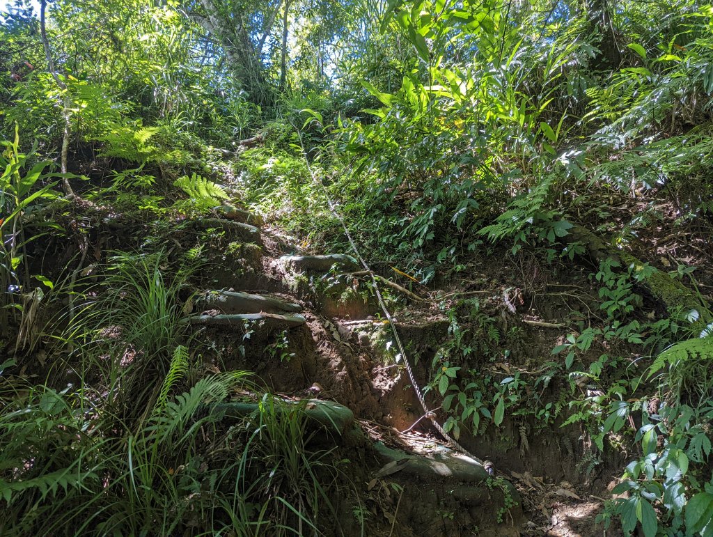 阿美族的聖山：八里灣山(小百岳#91)_1761856