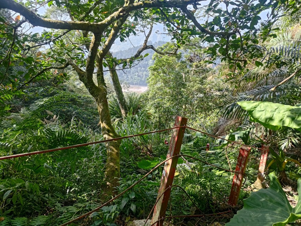 回歸自然的山羊古道_2678645