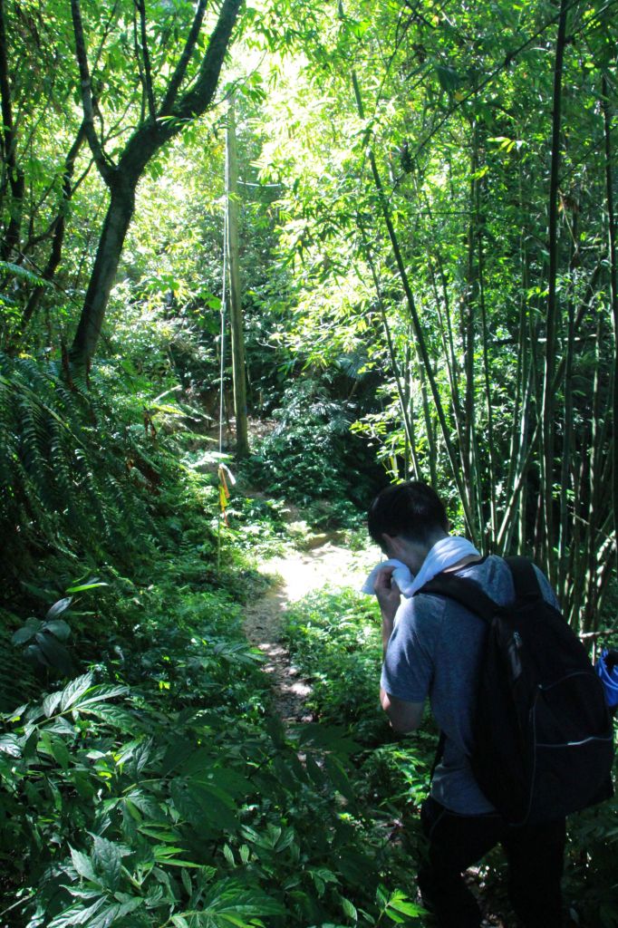 20170702 幼坑古道_142490