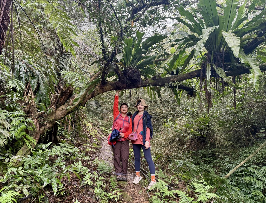 七上八下_2718058