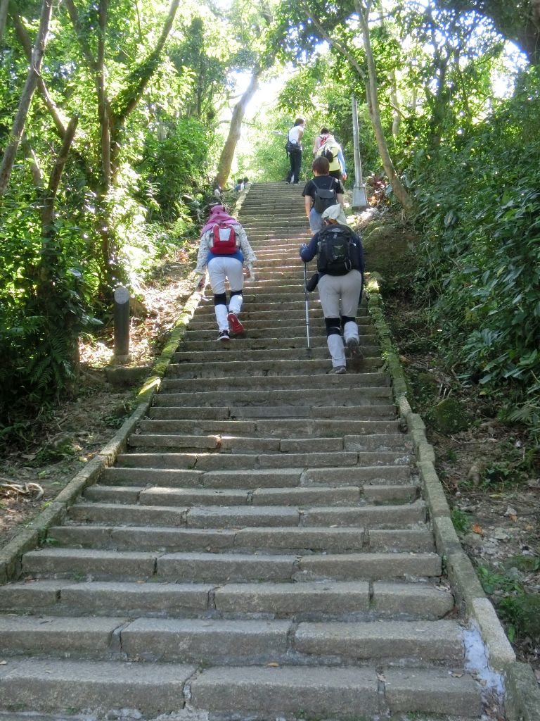 南港山縱走親山步道_173916