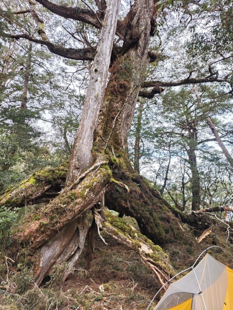 神魔塚0型縱走_2728734