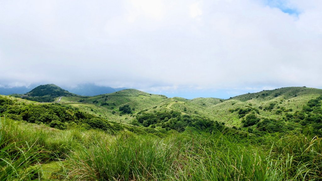 番王厝,番婆厝,王子厝,公主厝封面圖