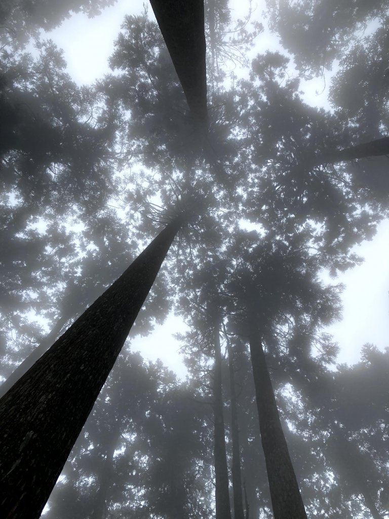 2023-09-30 頂石棹 雲之道_2300721